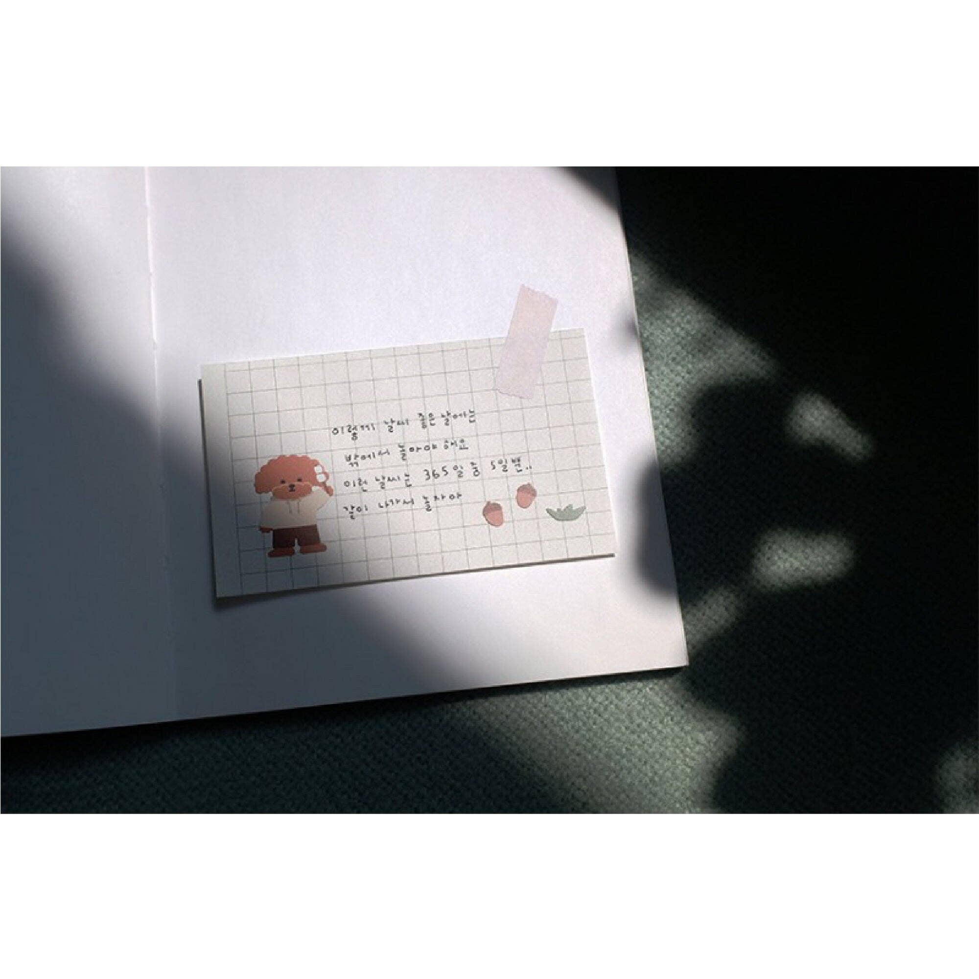 Hello Claws Limited - Wholesale Sticker - Suatelier | Let's go camping4