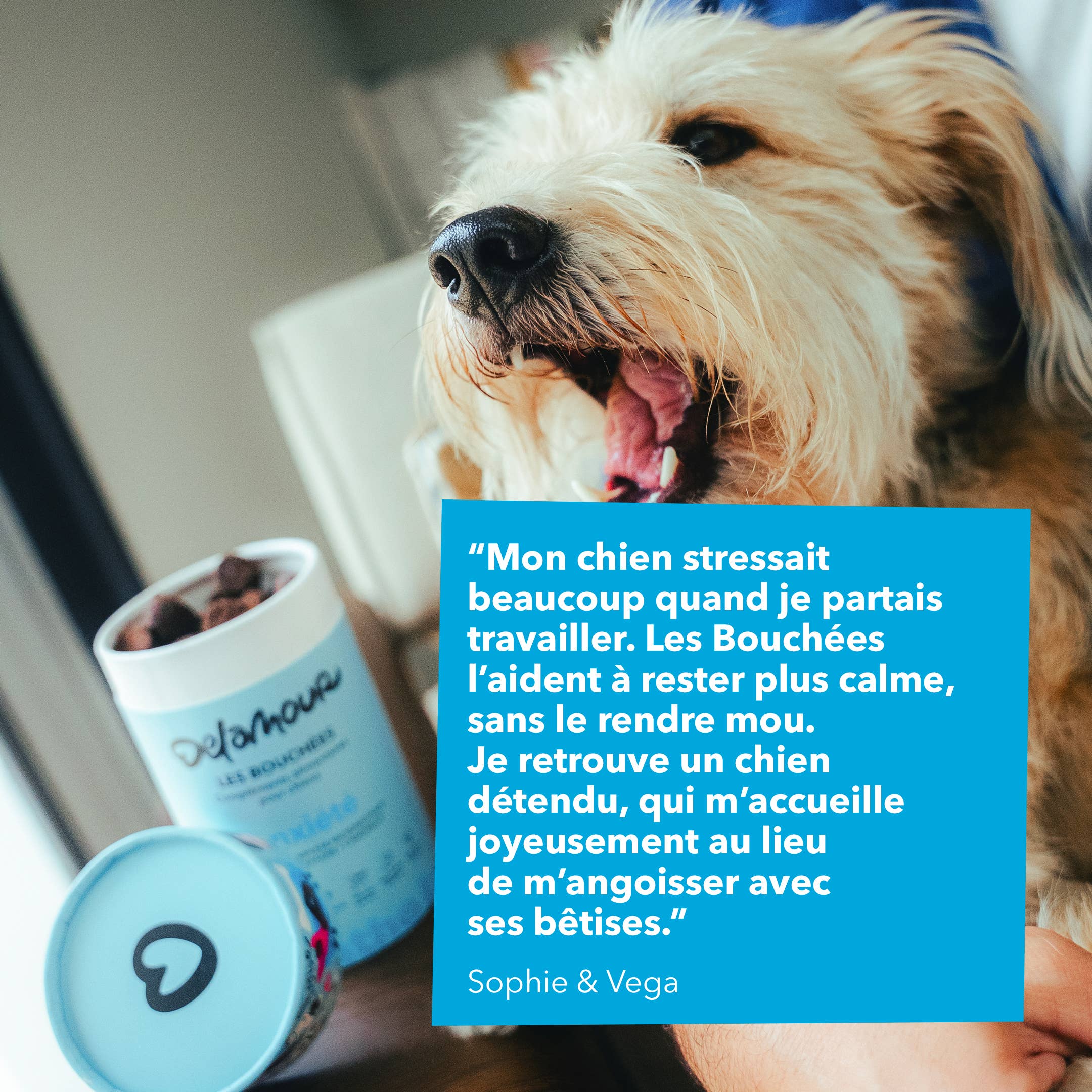 Delamour - Wholesale Pet Supplement - Dog - Les Bouchées - 90 chews to fight Anxiety (270g)5