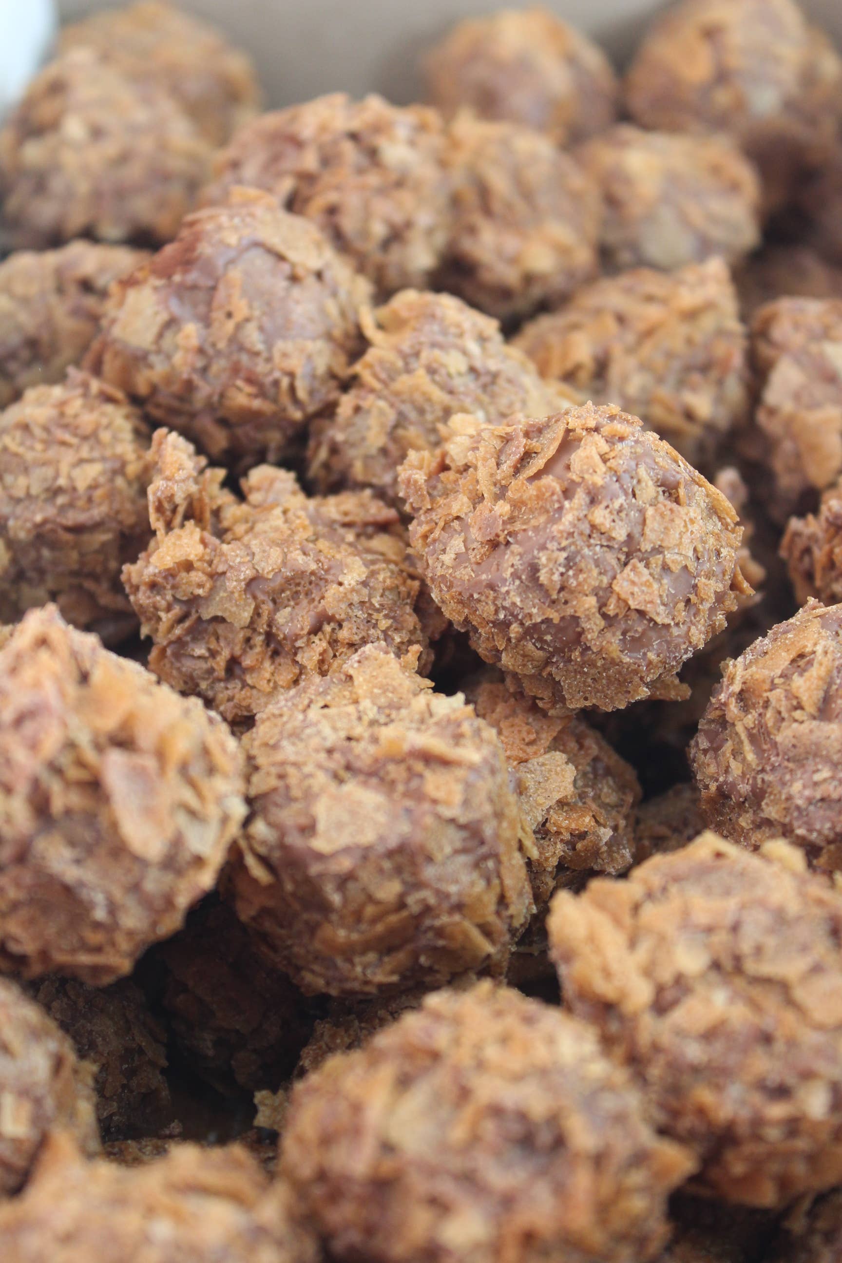 Royale Normande Chocolaterie – wholesale Chocolate-covered sweets – TRUFFLES PRALINE CREPE LACE - BULK CARDBOARD 3035