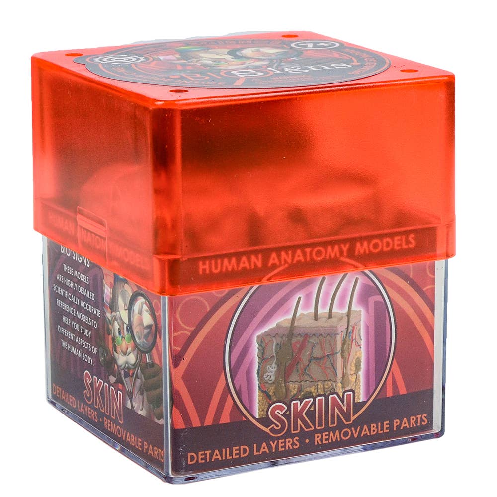 TEDCO Toys - Wholesale Toy Set - Kids - Skin1