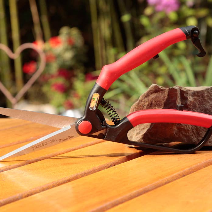 Buxusschaar, klein voor wholesale door Schnittzeiten