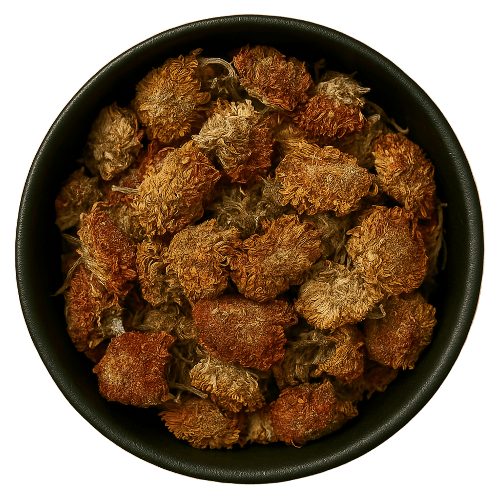 LA Herb - Wholesale Herbs - Celosia Flower Whole (Celosia Cristata)1