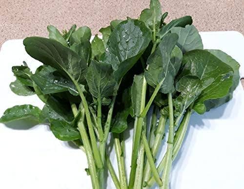 The Rike - Wholesale Plant Seeds - Choy Sum Seeds Brassica Integrifolia 6 pack x 3000 Seeds 2