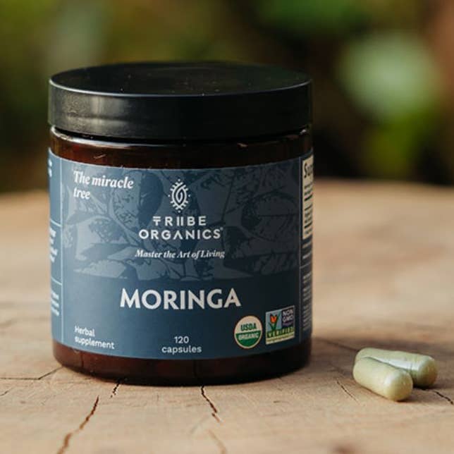 Organic Moringa for wholesale by Tribe Organics