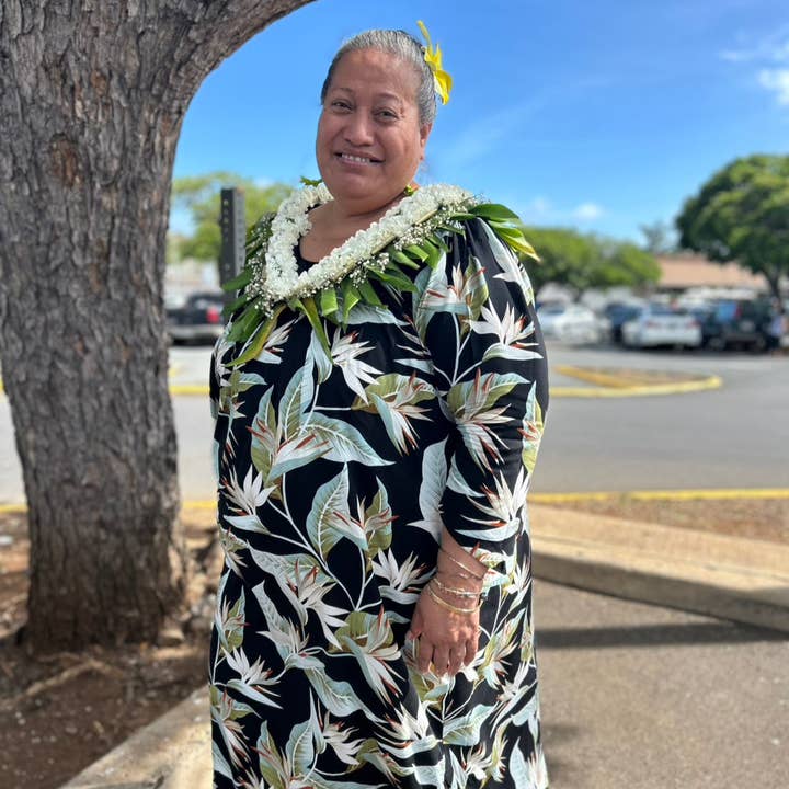 Velvet Yoke Långärmad Hawaiiklänning – Plus Size Vänlig för wholesale av Muumuu Rainbow / DBA Princess Kaiulani Fashions