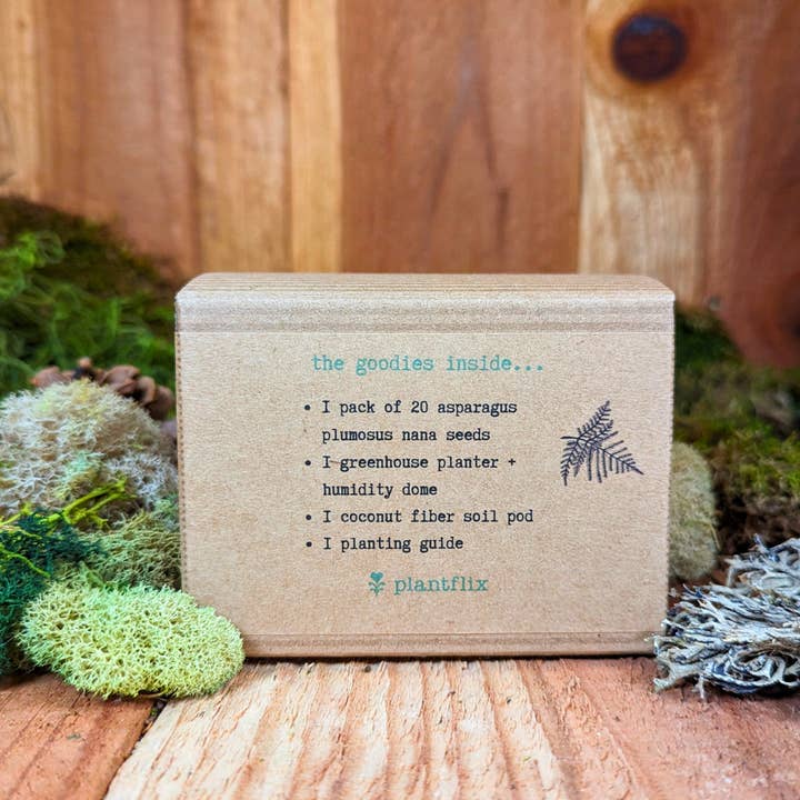 Plantflix - Wholesale Plant Seeds - Houseplant Seed Kit 6