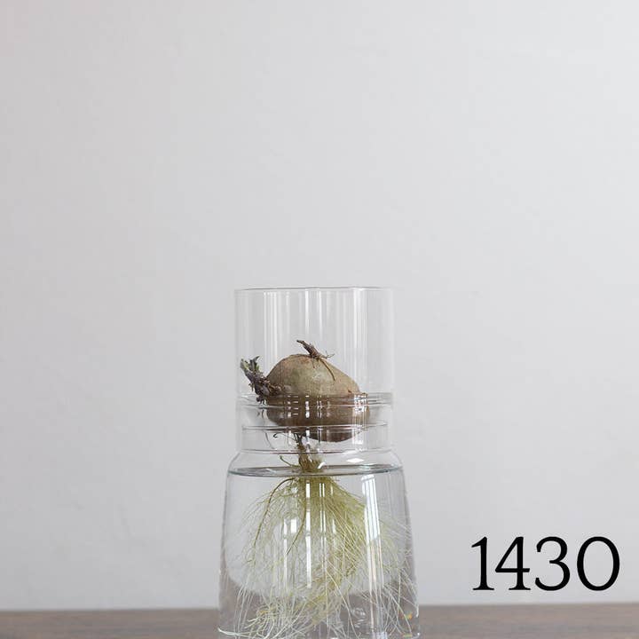 Dyrkningssæt 13 cm for engroshandel hos Kl-u-Ra Magie des Lebens