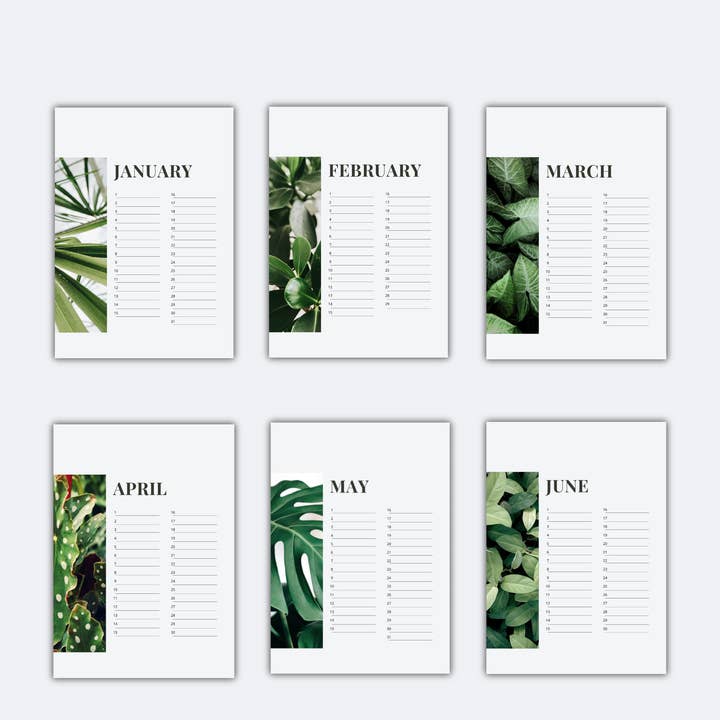 plantyintroverts - Wholesale Calendar - A4 Botanical Monstera Perpetual Birthday Calendar7