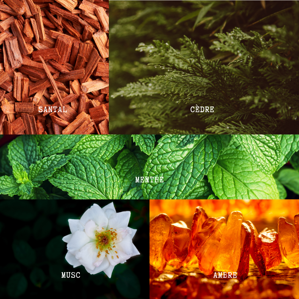 Flambeuse (Effet WOW) – Engroshandel Glaslys – Duftlys - Boreal Skov (130g)1