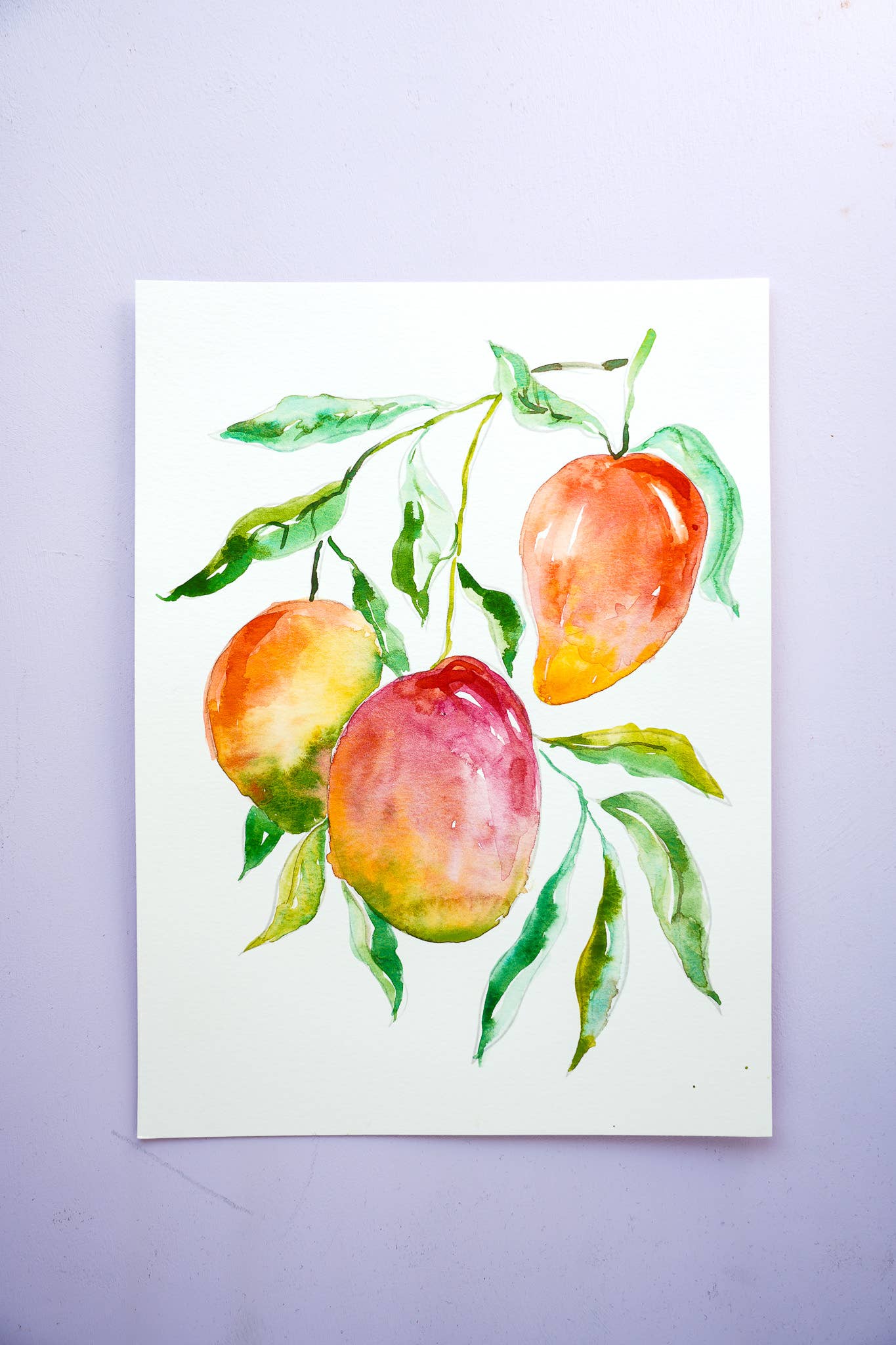 Jean Choe Art & Design - Wholesale Sketchbook/Sketchpad - Fruit Watercolor Workbook: Outlined Coloring Pages to Paint12