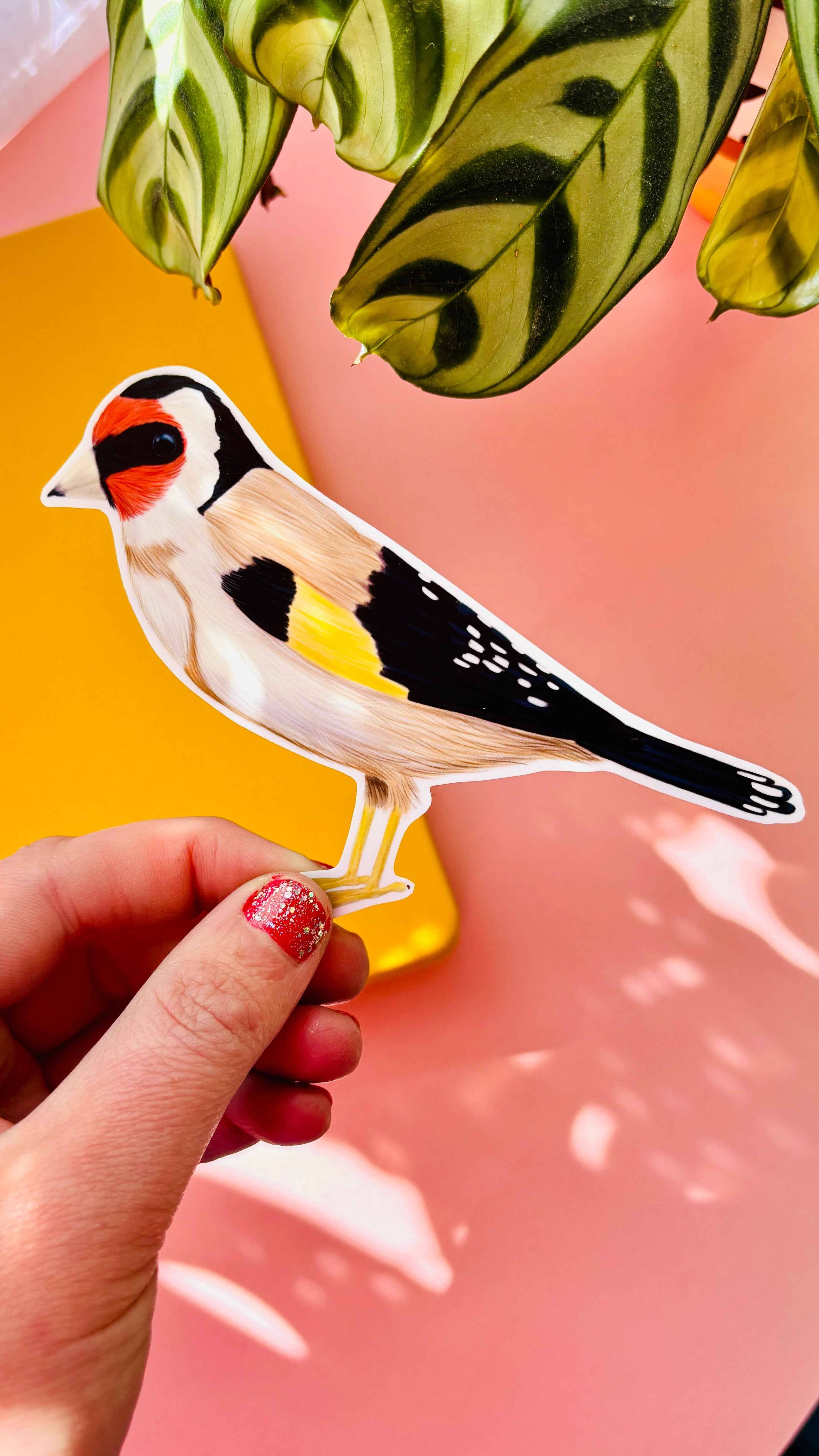 Pixiecraft - Wholesale Sticker - Garden Birds 10cm Vinyl Stickers: Nature Inspired Waterproof Decals10