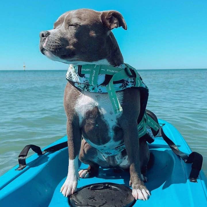 Stylish Hound – Großhandel Haustierjacke – Hund – Evergreen Schwimmweste für Hunde6