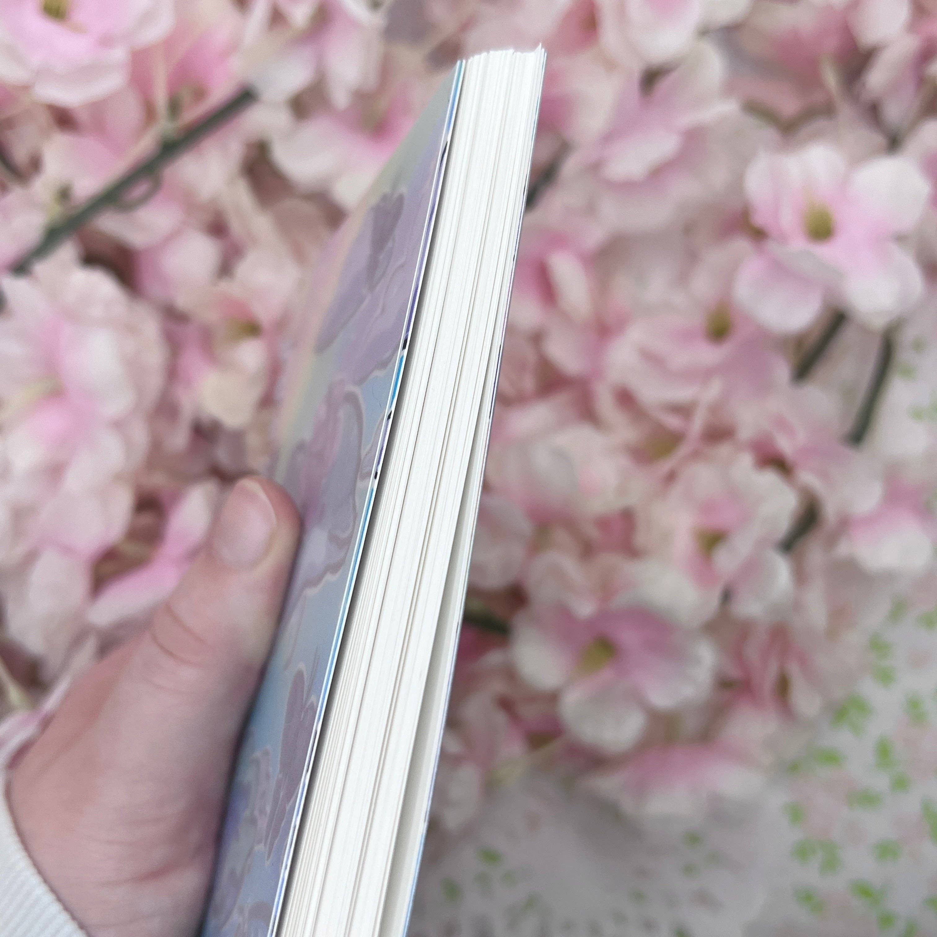 Woolblossom - Wholesale Sticker - Rainbow Beach Dolphin ~ Mini Reusable Sticker Book7