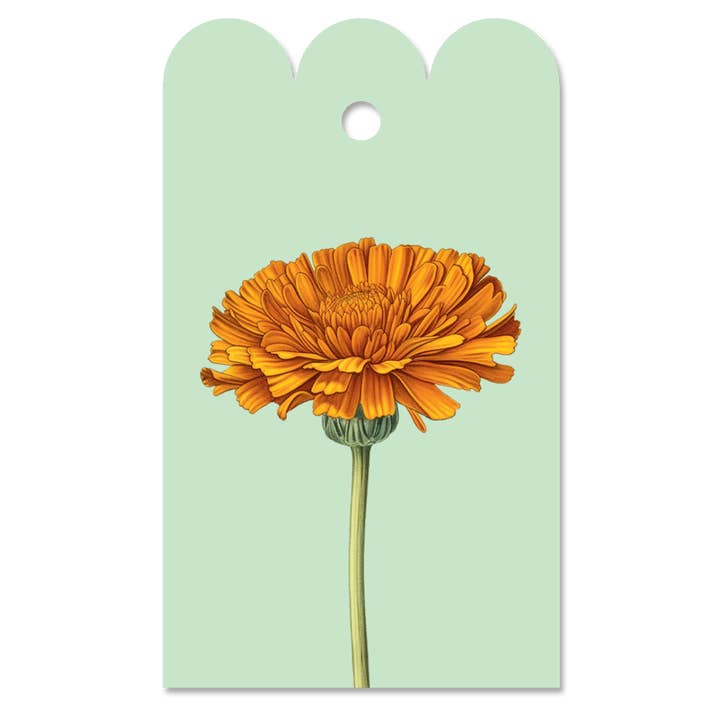 Marigold Gift Tag for wholesale by 30x40