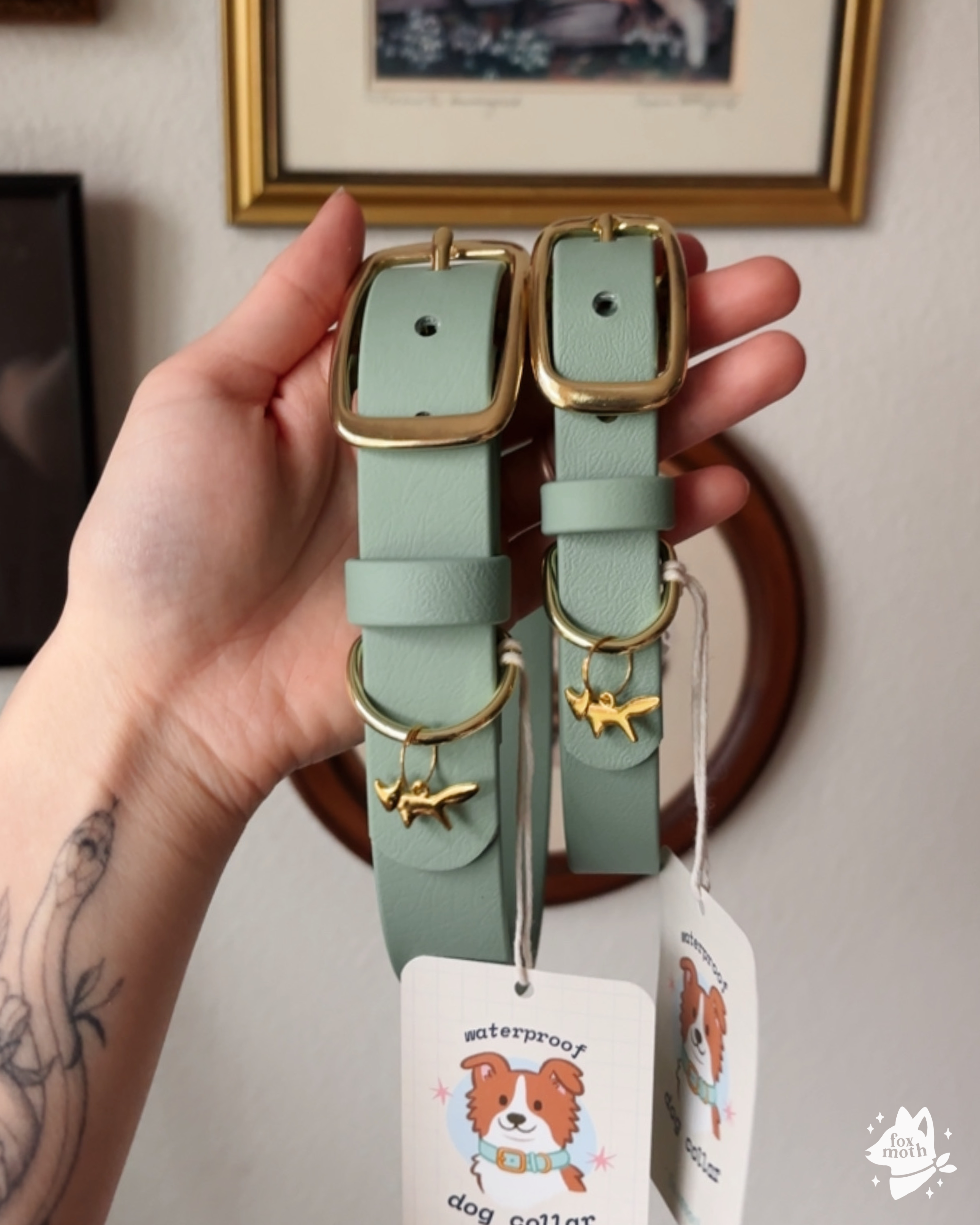 FoxMoth - Wholesale Pet Collar - Dog - Modern Waterproof Biothane Dog Collar [All 17+ Colors]23