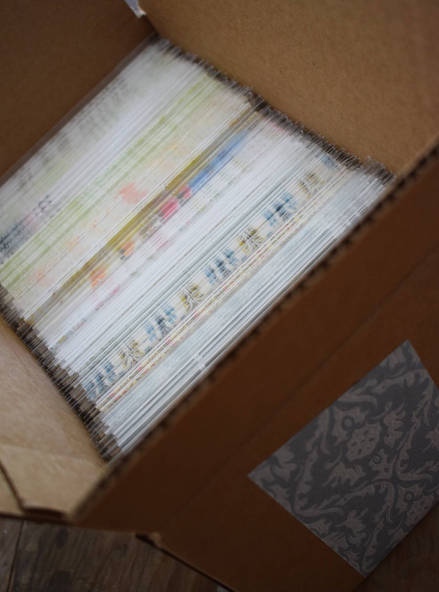 Emily Uchytil - Vendita all'ingrosso Biglietti di auguri generici - Monarch Butterfly - Biglietto per appunti7