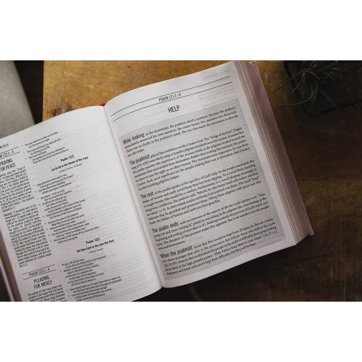 HarperCollins Christian Publishing - Wholesale Book - Adult - The Jesus Bible Esv Edition Leathersoft Over Board Pink