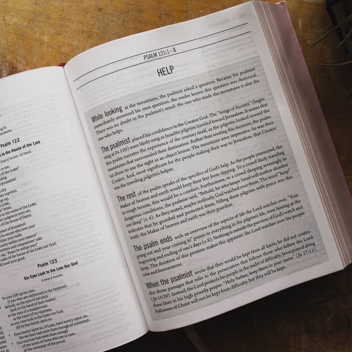 HarperCollins Christian Publishing - Wholesale Religion - ESV The Jesus Bible Leathersoft Over Board Pink4