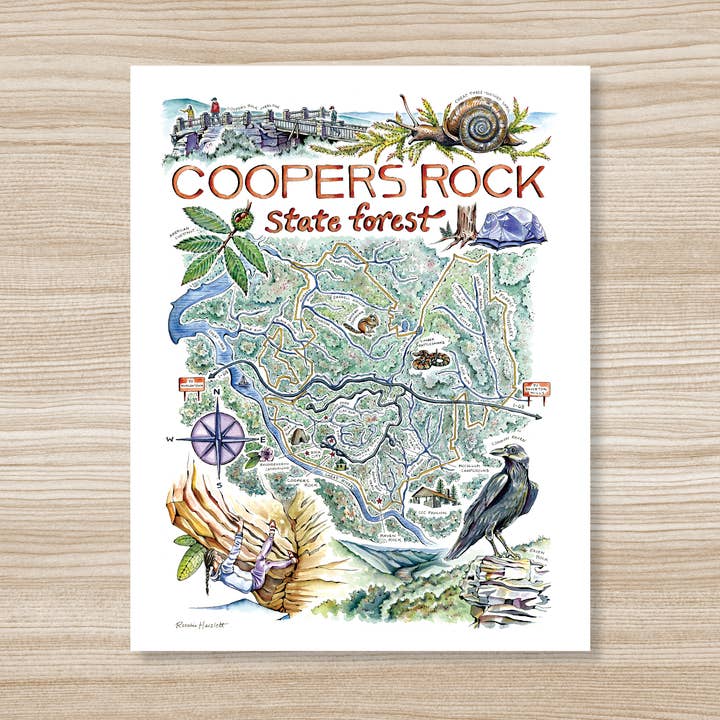 Coopers Rock Illustrated Map - Watercolor Art Print for wholesale by Rosalie Haizlett Illustration