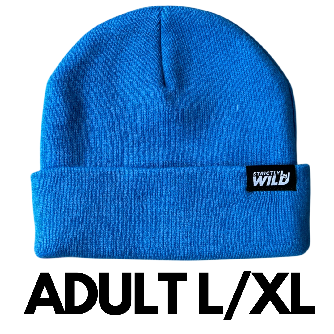 Strictly Wild - Wholesale Beanie - Kids - Blue Blitz Beanie4