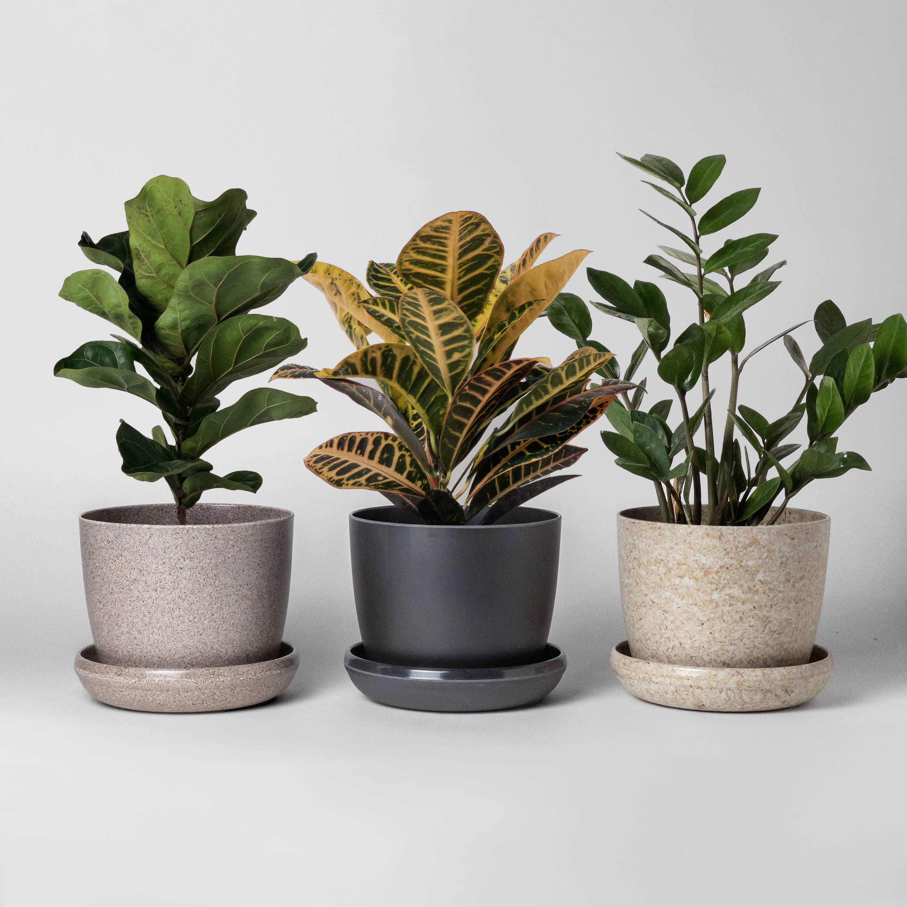 Kanso Designs - Vente Pot - Ensemble de trois | Mini jardinières Pots Essence Set4