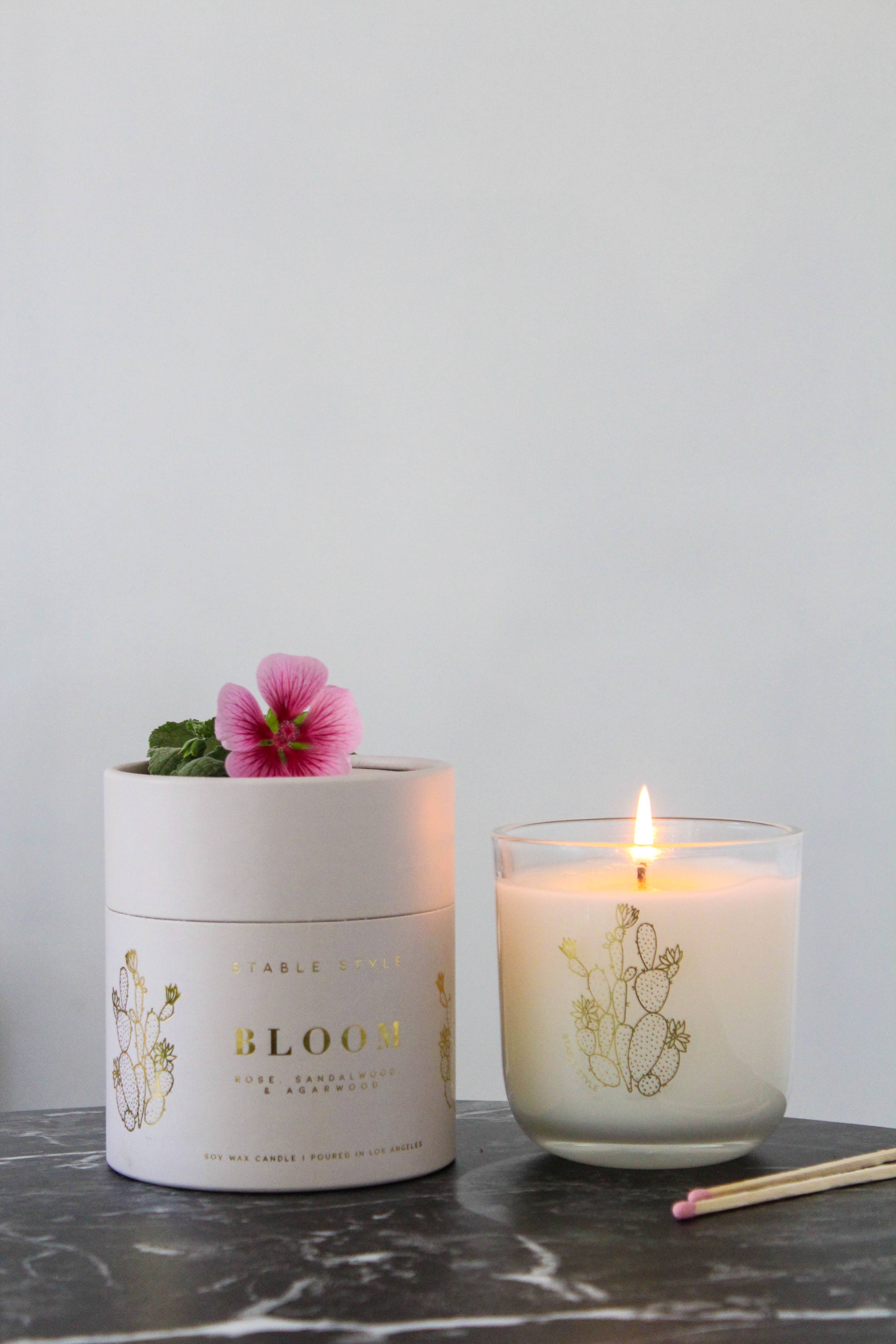 Stable Style - Wholesale Jar/Filled Candle - Cactus Soy Wax Candle - Bloom7