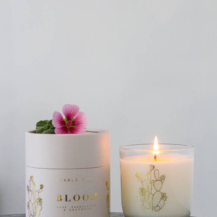 Stable Style - Wholesale Jar/Filled Candle - Cactus Soy Wax Candle - Bloom7