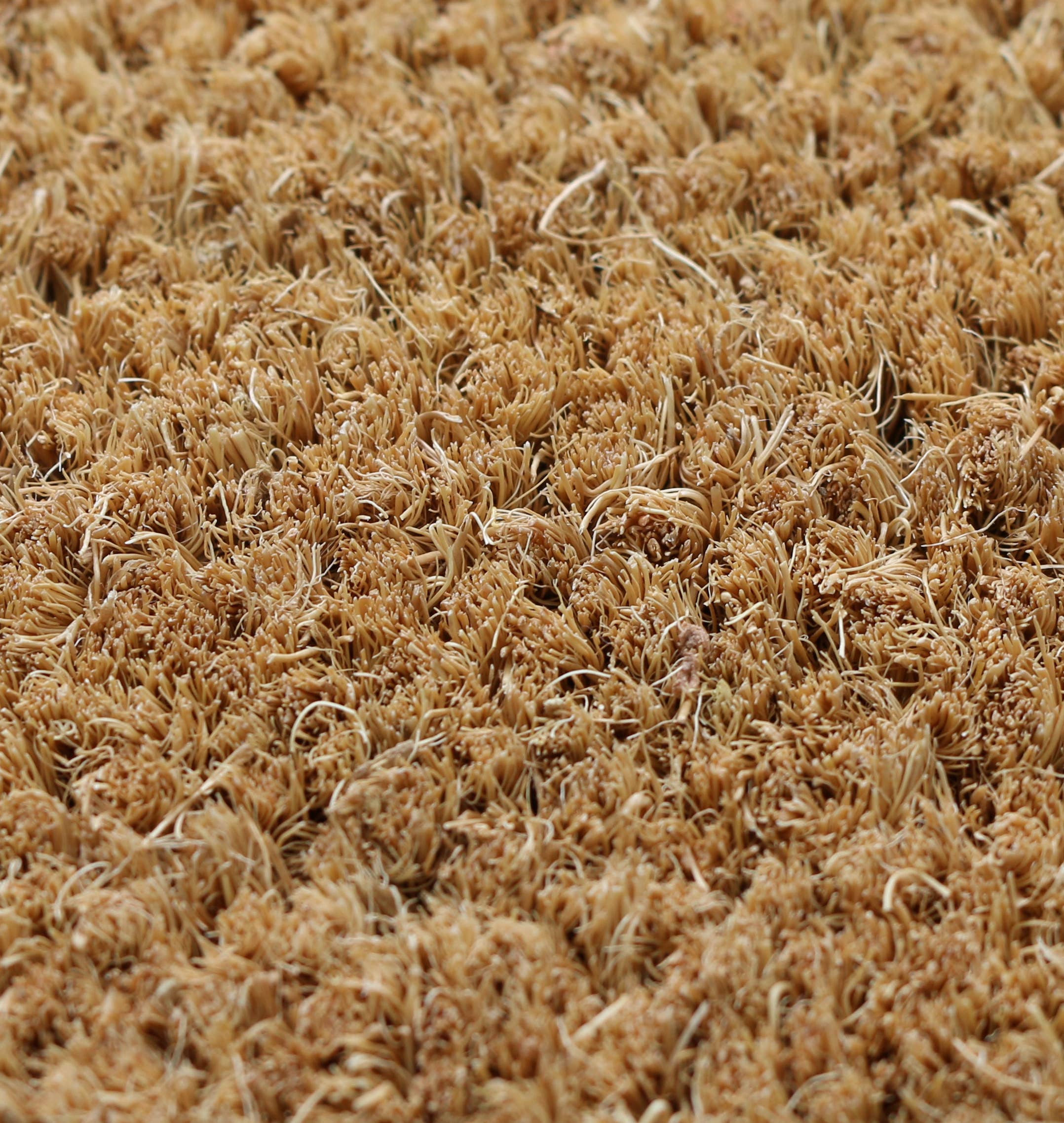 Esselle Limited – wholesale Door mat – Astley Plain Rectangle Doormat Natural Non-Slip PVC Backing3