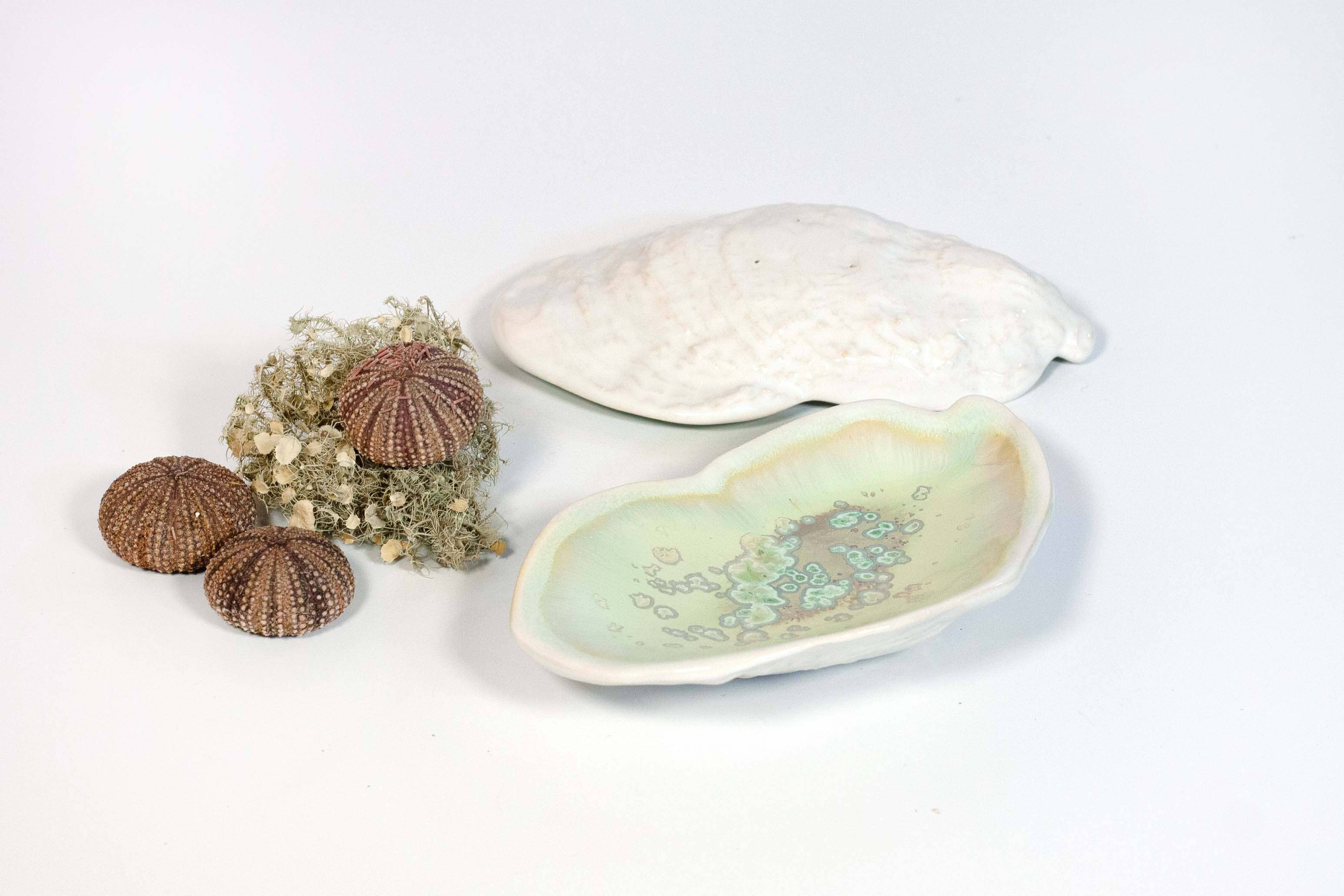 Alison Evans Ceramics - Venta al por mayor Joyero de plato - Plato Damariscotta5