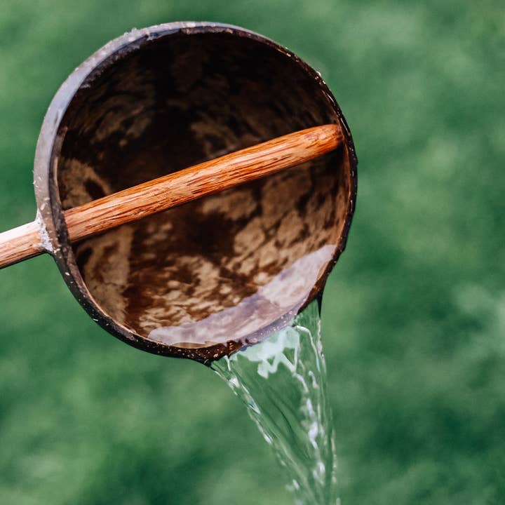 Coconut Shell Water Scoop for wholesale by Q Toys