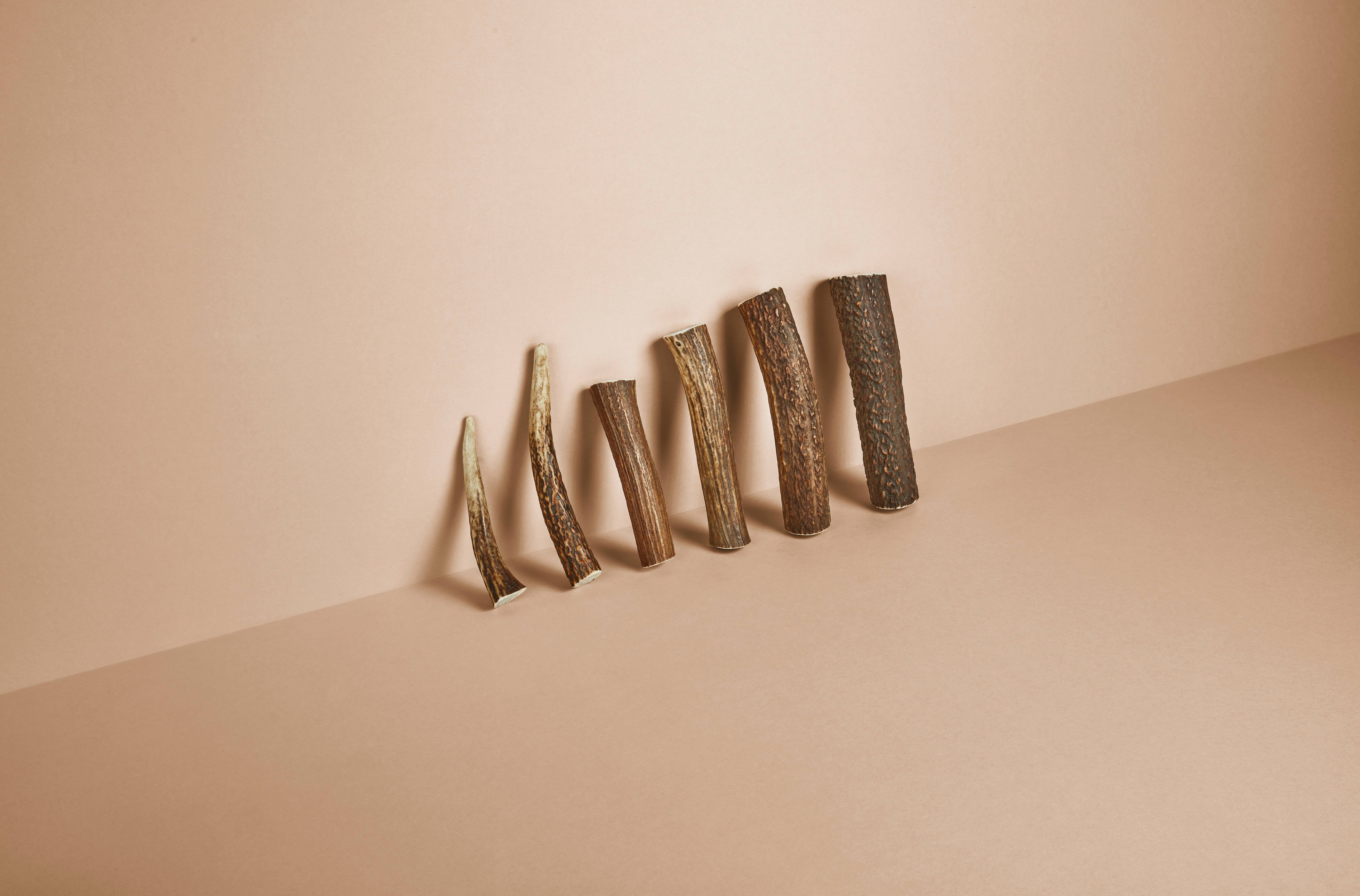 CANOPHERA GmbH - Wholesale Pet Chew Toy - Dog - Dog Chew Made of Red Deer Antlers.