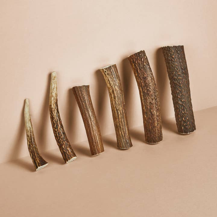 CANOPHERA GmbH - Wholesale Pet Chew Toy - Dog - Dog Chew Made of Red Deer Antlers.0