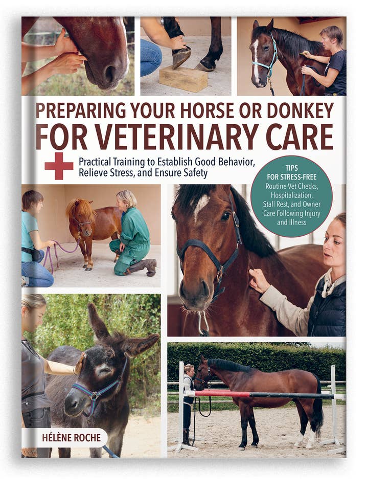 Preparare il tuo cavallo o asino per le cure veterinarie per la vendita all'ingrosso da parte di Trafalgar Square Books