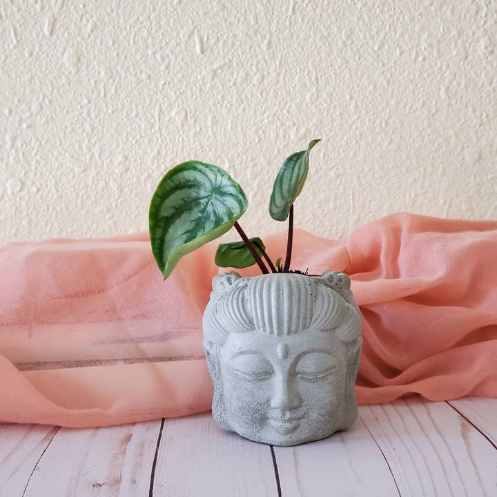 House Americana - Wholesale Plant Pot - Serenity Buddha Head Concrete Planter With Drainage4