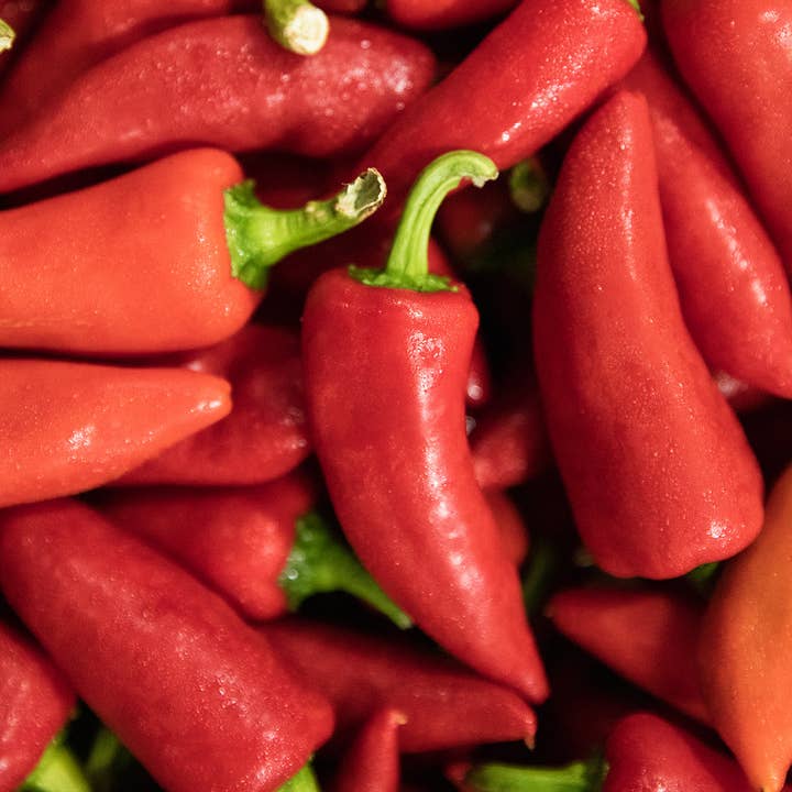 Blake Hill Preserves - Wholesale Jam/Jelly - Fresno & Thai Spicy Chili Jam3