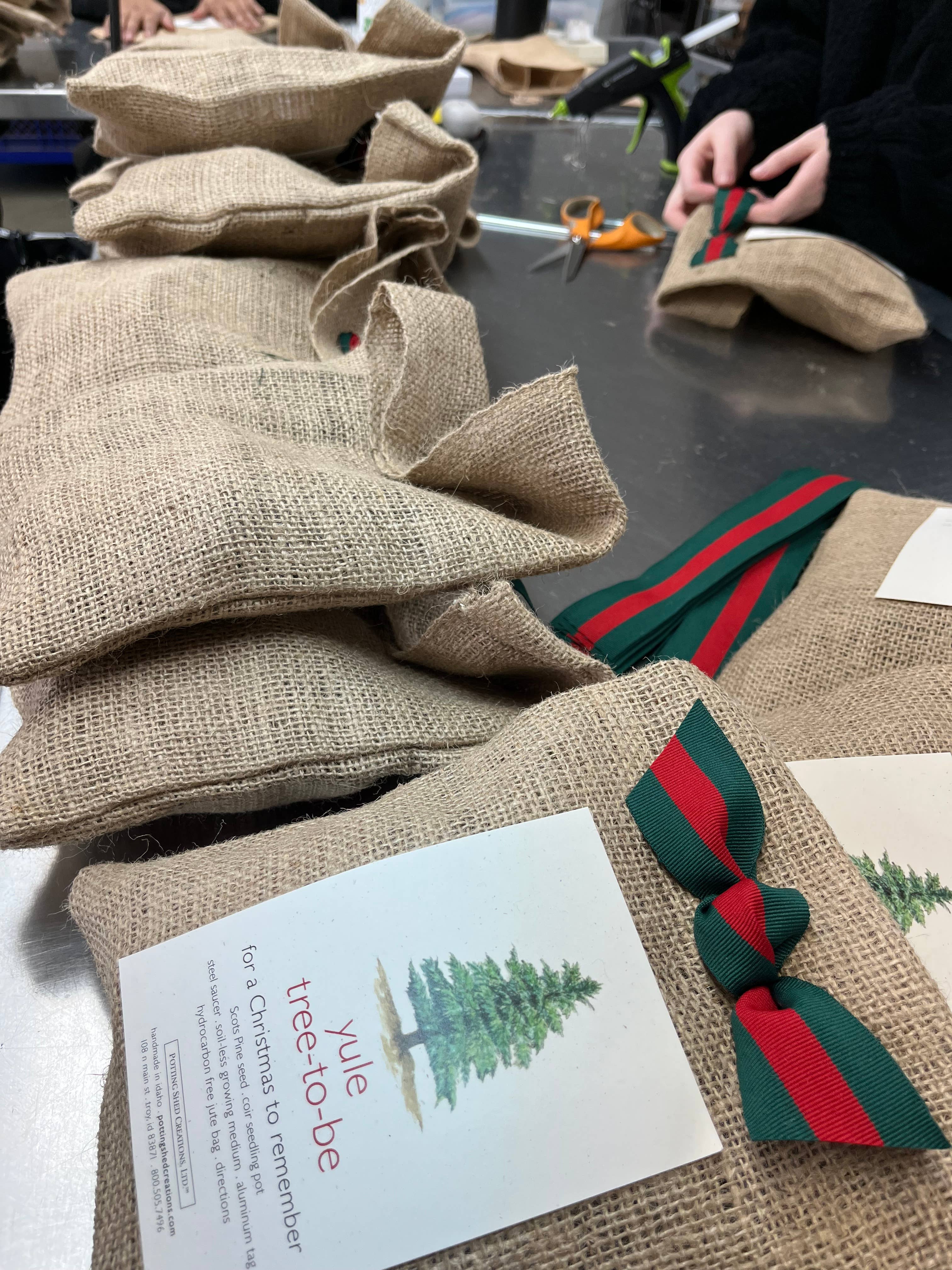 Potting Shed Creations, Ltd. - Wholesale Christmas Decoration - Christmas Tree to Be | Hostess gift | Holiday Parties5