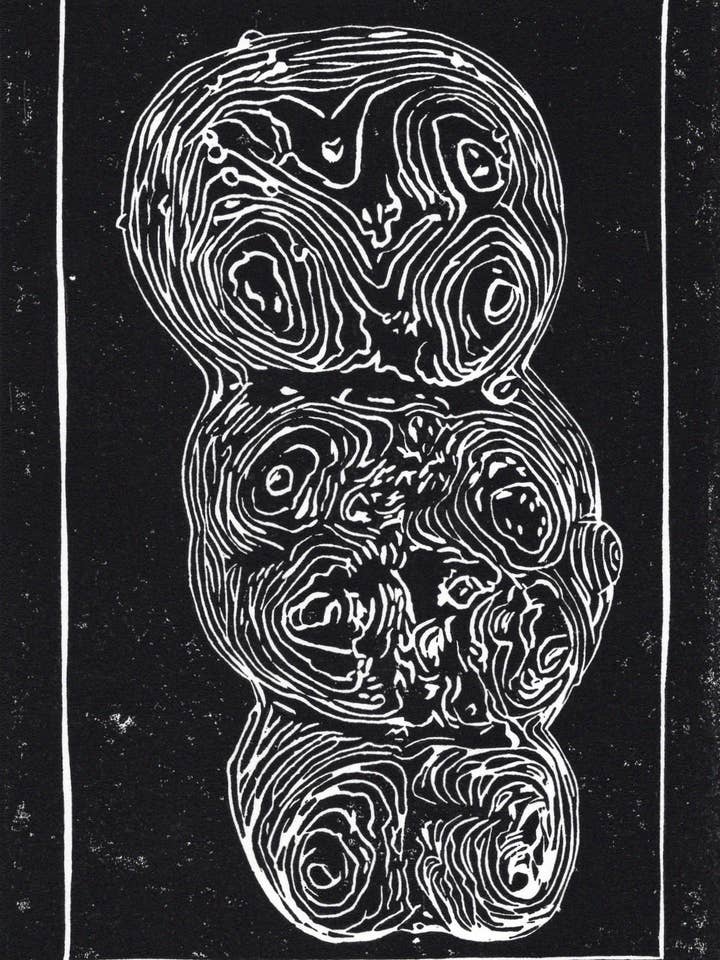 Tooth Topography for wholesale by Monstera Arts