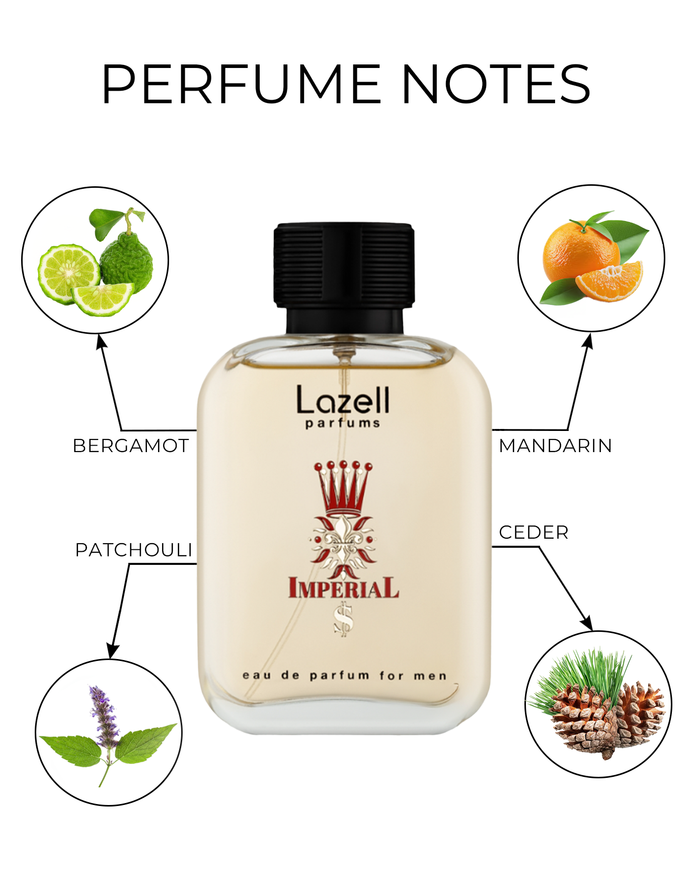 Daspar - Wholesale Perfume/Eau de Toilette - LAZELL $ IMPERIAL FOR MEN EDP 3.4 OZ 100 ML Perfume 1