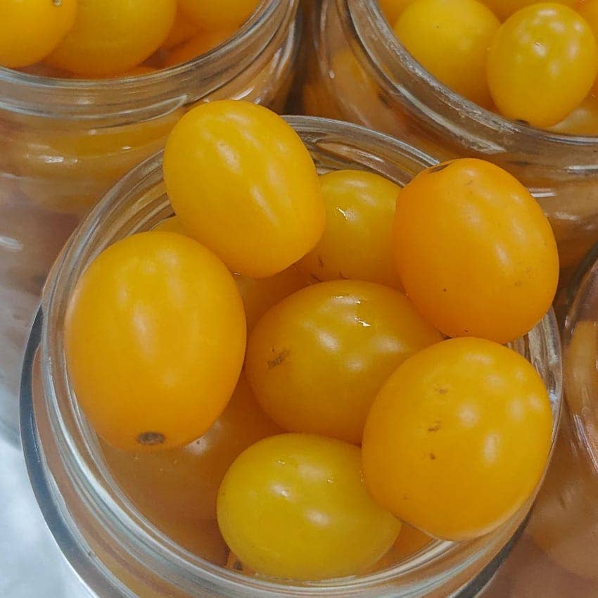 Cocco Food - Wholesale Pickled Vegetables - Datterino Giallo In Acqua Di Mare - Pasta dressing3