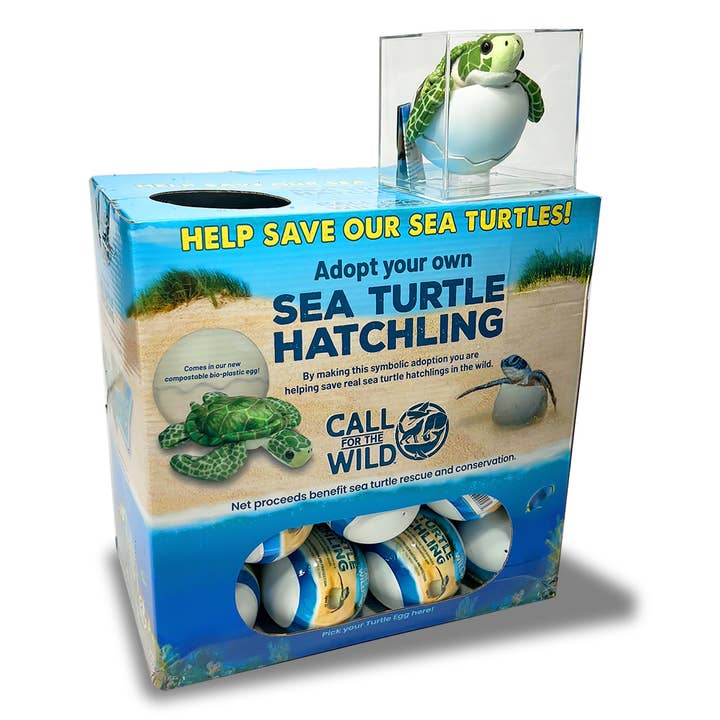 Call For The Wild - Wholesale Stuffed/Plush Toy - Kids & Baby - Sea Turtle Hatchling Example Display1