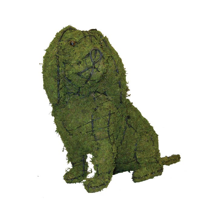 Kavalier, Sitzend - 16" (Bemoost) für den Großhandel von Braun