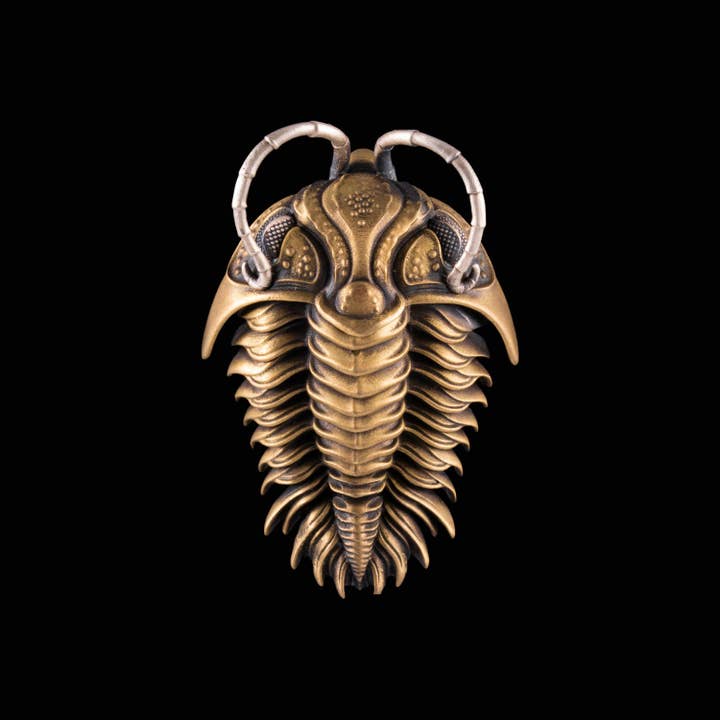 Coppertist.wu - Wholesale Individual Charm/Pendant - Trilobite Kinetic Pendant