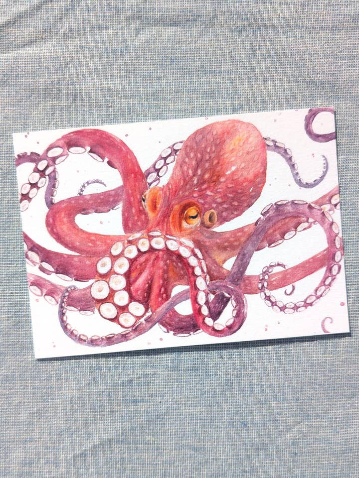 Carte postale pieuvre pour la vente par Jona Art