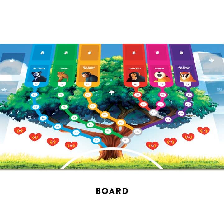 Bridge Distribution - Wholesale Board Game - Primates1