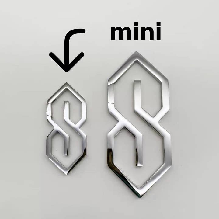 The S Thing - Wholesale Keychain - Unisex - Mini S Thing Keychain Carabiner™- PREORDER (NOV)1