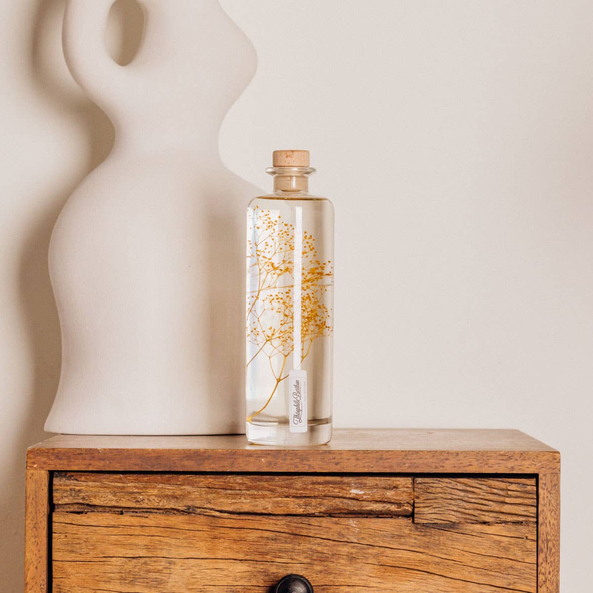 Theophile Berthon - Vente Plante - L'Herbarium Gypsophile safran - plante immergée2