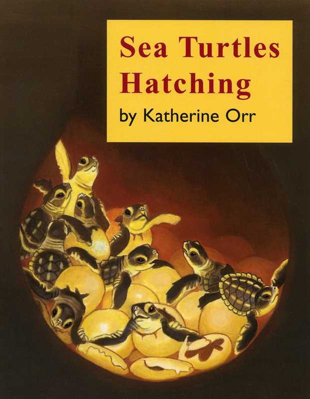 Simon & Schuster - Wholesale Nature & Outdoors - Sea Turtles Hatching by Katherine Orr0