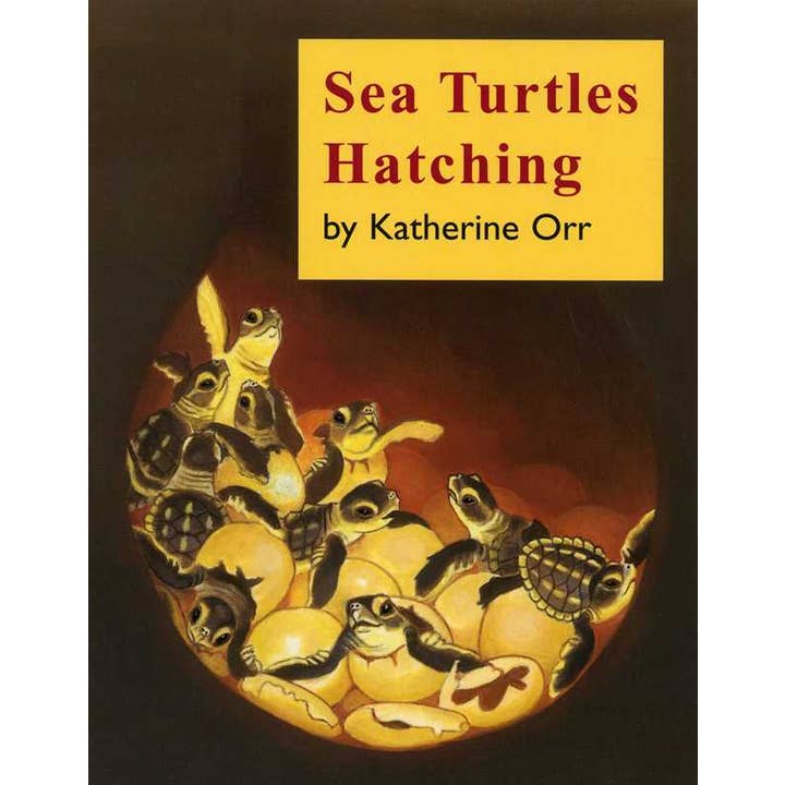Simon & Schuster - Wholesale Nature & Outdoors - Sea Turtles Hatching by Katherine Orr
