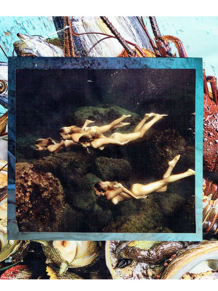 Stampa artistica Underbodied per la vendita all'ingrosso da parte di Flanzella