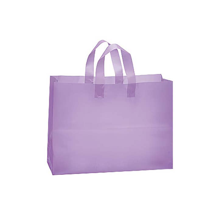 Store Supply Warehouse - Wholesale Gift Bag - Frosted Retail Shopping Bags17